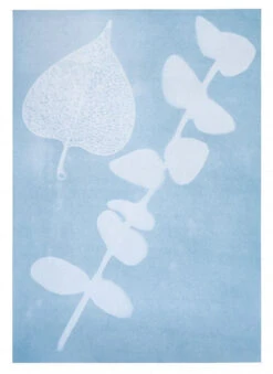 Moses PhänoMINT Sonnendruck-Papier A4 -Kinder Pielzeugladen 030335 ANW 1 600x600