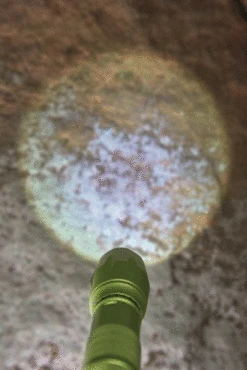 Haba Terra Kids Taschenlampe 8 Haba Terra Kids Taschenlampe -Kinder Pielzeugladen 1 305348 b 600x600