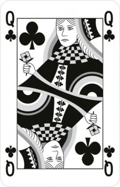 Moses Unglaubliche Kartentricks Für Jede Gelegenheit -Kinder Pielzeugladen 211 28032 b 600x600