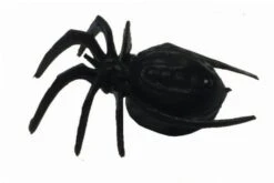 Magneto Magnet-Spinne Magnetisches Krabbeltier