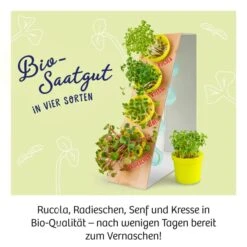 Kosmos Experimentierkasten Microgreen-Garten -Kinder Pielzeugladen 4002051636135 2 600x600