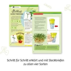 Kosmos Experimentierkasten Microgreen-Garten -Kinder Pielzeugladen 4002051636135 4 600x600