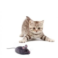 HEXBUG Mouse Cat Toy, Grau -Kinder Pielzeugladen 613 503502 b 600x600