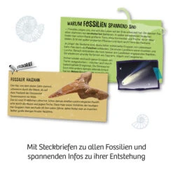 Kosmos Fossilien Set -Kinder Pielzeugladen 657918 b 600x600
