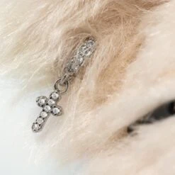 Steiff Rocks! Teddybär Elton John Gr. 28 Sammlerstück -Kinder Pielzeugladen teddyelton4 600x600